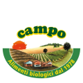 LOGO_CAMPO S.C.A