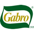LOGO_Gabro Srl