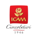 LOGO_ICAM S.p.A.