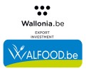 LOGO_WALLONIA EXPORT-INVESTMENT AGENCY