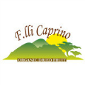 LOGO_F.lli Caprino srl