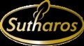 LOGO_Q Plus Concept Company Limited