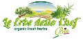 LOGO_Le Erbe dello Chef Bio