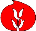 LOGO_Ecobulbs organic grown flowerbulbs