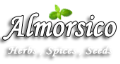 LOGO_NABIL MORSI CO