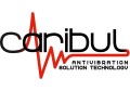 LOGO_Caribul Srl