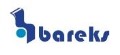 LOGO_Bareks Plastik Film Ekstruzyon A.S.