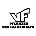 LOGO_Falkenhayn - VF Pflanzen GmbH & Co. KG