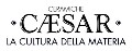 LOGO_Caesar Ceramiche S.p.A.