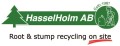 LOGO_HasselHolm AB