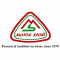 LOGO_Monte Sport srl