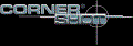 LOGO_Silver Shadow advanced security systems LTD