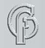 LOGO_G Force (Hong Kong ) Limited