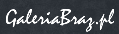 LOGO_Galeria Braz