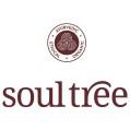 LOGO_Vedicare Ayurveda Pvt Ltd.(SoulTree)