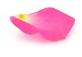 LOGO_Rose Office Limited