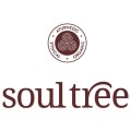 LOGO_SoulTree